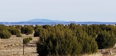 Beautiful 50 Ac Hwy 55 Frontage For Sale near Torreon NM - image 7