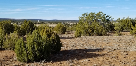 Beautiful 50 Ac Hwy 55 Frontage For Sale near Torreon NM - image 5
