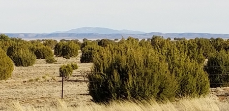 Beautiful 50 Ac Hwy 55 Frontage For Sale near Torreon NM - image 8