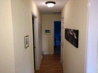 Country Home & Acreage for Sale in Floyd VA - image 14