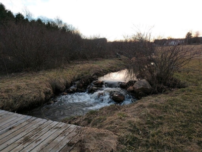 Country Home & Acreage for Sale in Floyd VA - image 29