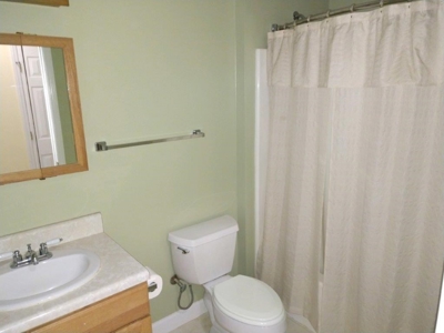 Country Home & Acreage for Sale in Floyd VA - image 15