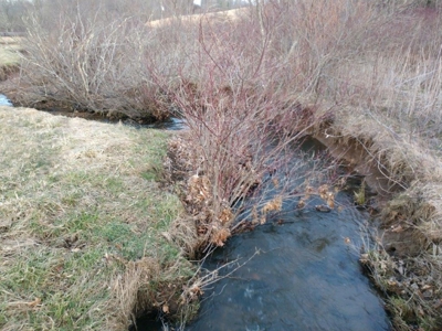 Country Home & Acreage for Sale in Floyd VA - image 31