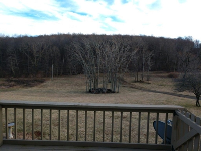 Country Home & Acreage for Sale in Floyd VA - image 26