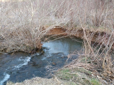 Country Home & Acreage for Sale in Floyd VA - image 32