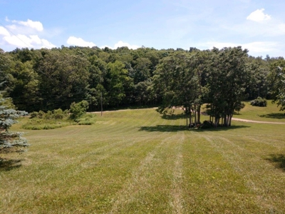 Country Home & Acreage for Sale in Floyd VA - image 41