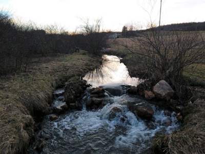 Country Home & Acreage for Sale in Floyd VA - image 30