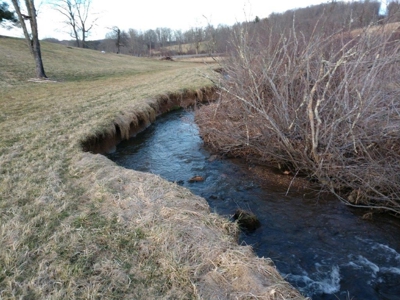 Country Home & Acreage for Sale in Floyd VA - image 33