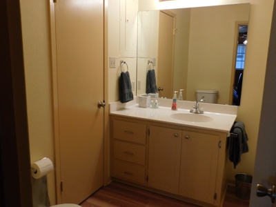 Waterfront Home For Sale Lake Palestine East Texas Country - image 16