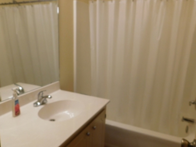 Waterfront Home For Sale Lake Palestine East Texas Country - image 11