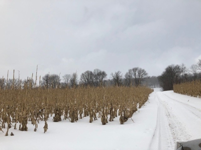 Dairy Farm in Herkimer County - image 27
