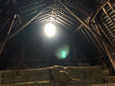 Dairy Farm in Herkimer County - image 22