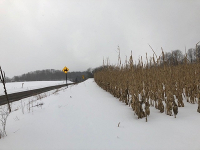 Dairy Farm in Herkimer County - image 29