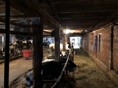 Dairy Farm in Herkimer County - image 21
