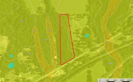 Wooded Land For Sale Anderson County Texas Near Neches Texas - image 4