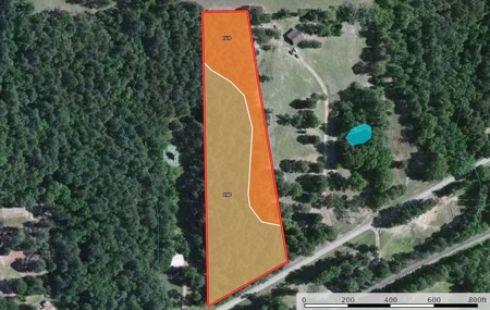 Wooded Land For Sale Anderson County Texas Near Neches Texas - image 5