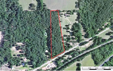 Wooded Land For Sale Anderson County Texas Near Neches Texas - image 3