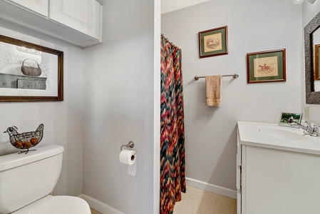 Luxury Horse Farm For Sale in Fauquier Co, VA - image 32