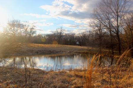Pasture Ground for Sale - Warrensburg, MO - image 19