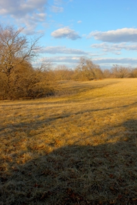 Pasture Ground for Sale - Warrensburg, MO - image 11