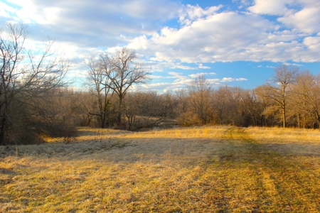 Pasture Ground for Sale - Warrensburg, MO - image 18