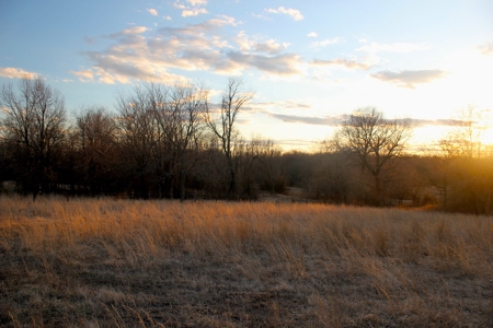 Pasture Ground for Sale - Warrensburg, MO - image 30