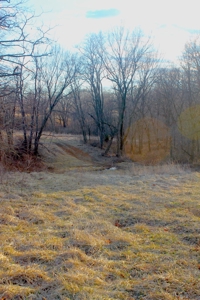 Pasture Ground for Sale - Warrensburg, MO - image 21