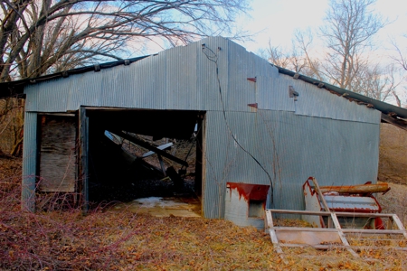 Pasture Ground for Sale - Warrensburg, MO - image 4