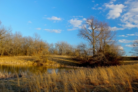 Pasture Ground for Sale - Warrensburg, MO - image 15