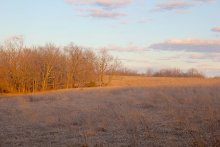 Pasture Ground for Sale - Warrensburg, MO - image 25