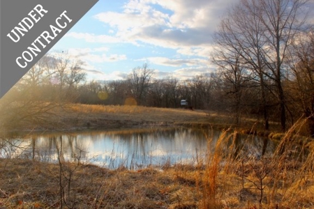 Pasture Ground for Sale - Warrensburg, MO - image 31