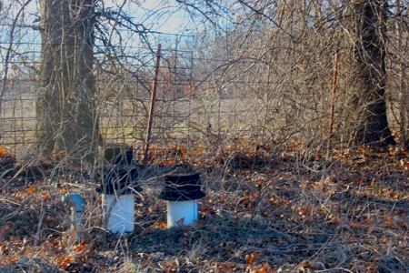 Pasture Ground for Sale - Warrensburg, MO - image 9