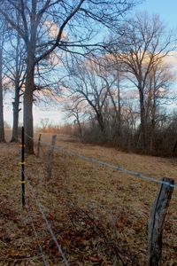 Pasture Ground for Sale - Warrensburg, MO - image 27