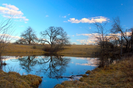 Pasture Ground for Sale - Warrensburg, MO - image 2