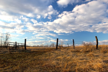 Pasture Ground for Sale - Warrensburg, MO - image 22