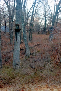 Pasture Ground for Sale - Warrensburg, MO - image 26