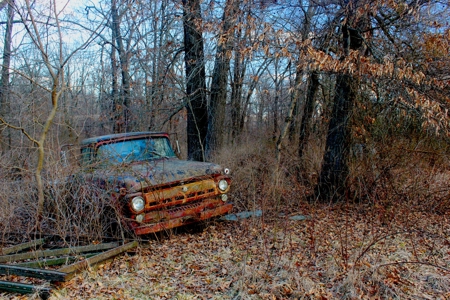 Pasture Ground for Sale - Warrensburg, MO - image 5