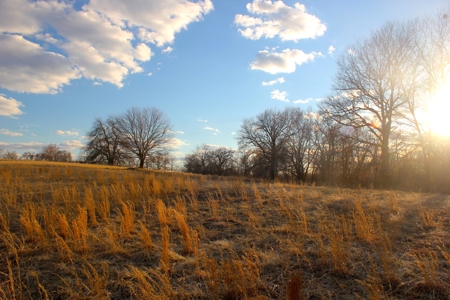 Pasture Ground for Sale - Warrensburg, MO - image 16