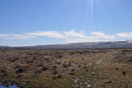 Custom Build Land for sale in Goldendale near Columbia river - image 3