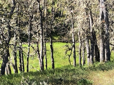 Land for sale in Goldendale Washington, near Columbia river - image 12