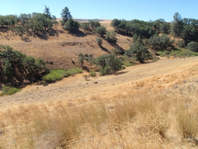 Land for sale in Goldendale Washington, near Columbia river - image 17