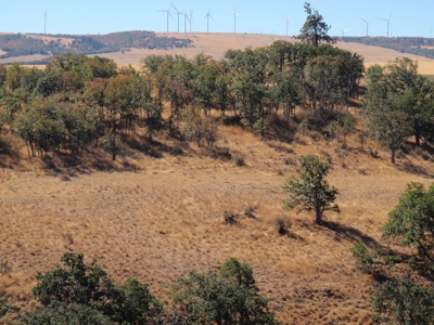 Land for sale in Goldendale Washington, near Columbia river - image 5
