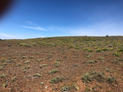 Land for sale in Goldendale Washington, near Columbia river - image 11