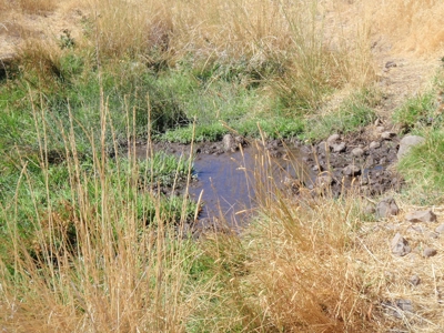 Land for sale in Goldendale Washington, near Columbia river - image 18