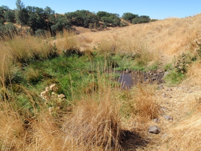 Land for sale in Goldendale Washington, near Columbia river - image 19