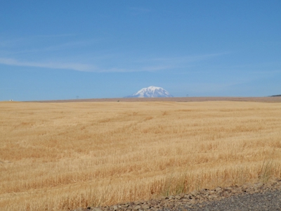 Land for sale in Goldendale Washington, near Columbia river - image 2