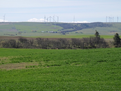 Land for sale in Goldendale Washington, near Columbia river - image 1