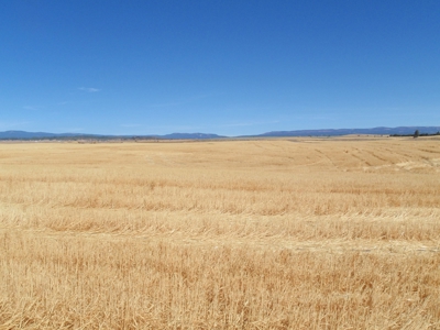 Land for sale in Goldendale Washington, near Columbia river - image 3