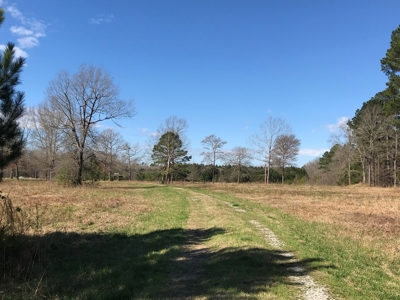 Land for Sale - Craig Springs Rd, Sturgis, MS 39769 - image 6