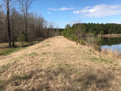 Land for Sale - Craig Springs Rd, Sturgis, MS 39769 - image 9